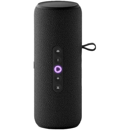 Умная портативная колонка Яндекс Станция Стрит YNDX-00030BLK (черный)