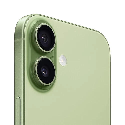 iPhone 17, 256 GB, Зеленый (SIM + eSIM)