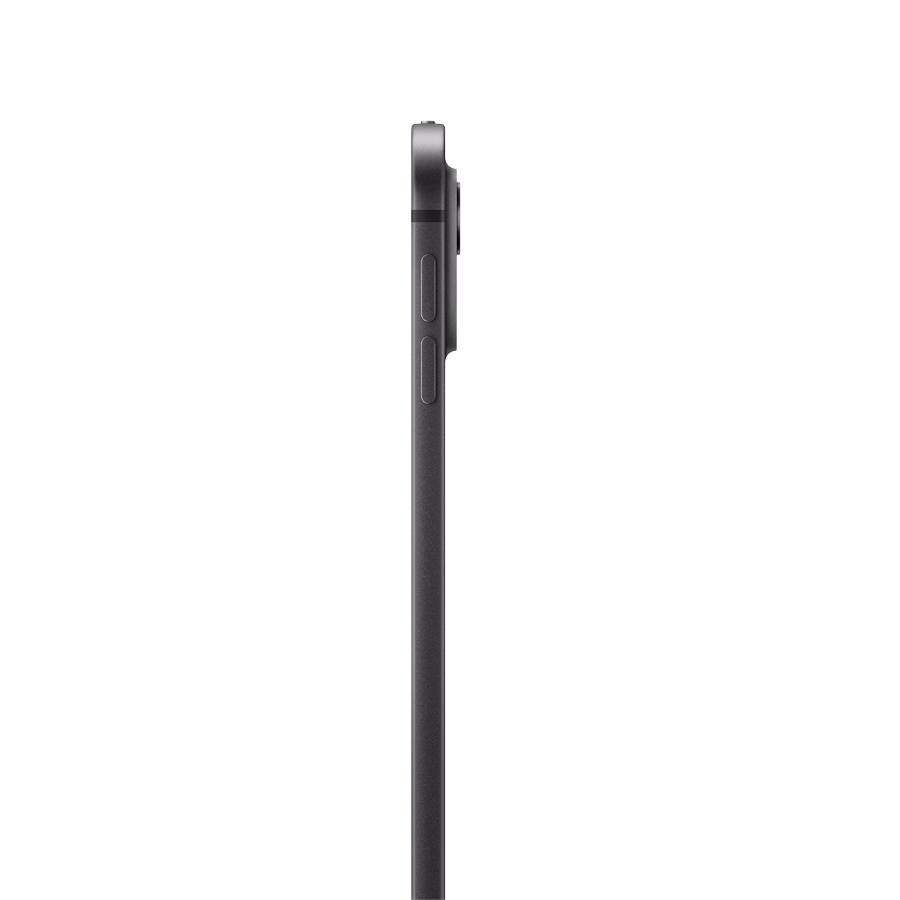 iPad Pro 13 M4, 256 ГБ Wi-Fi+Celular Стандартное стекло 2024, Space Black